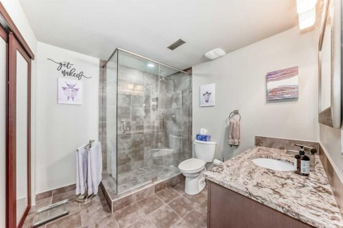 48 Midglen Way Se, Calgary, AB - Indoor Photo Showing Bathroom