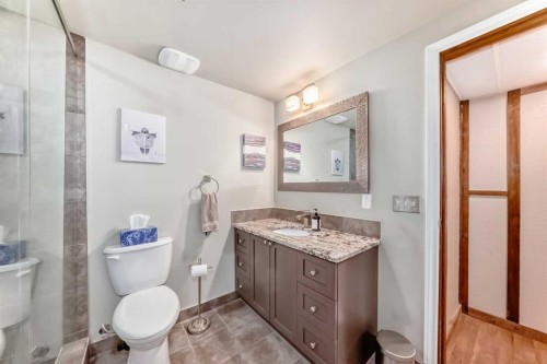48 Midglen Way Se, Calgary, AB - Indoor Photo Showing Bathroom
