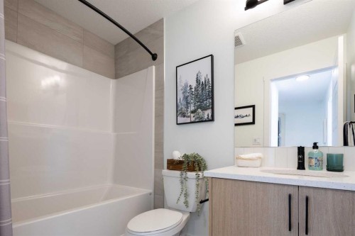 145 Wild Rose Way Se, Calgary, AB - Indoor Photo Showing Bathroom