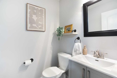 8 Thorndale Close Se, Airdrie, AB - Indoor Photo Showing Bathroom