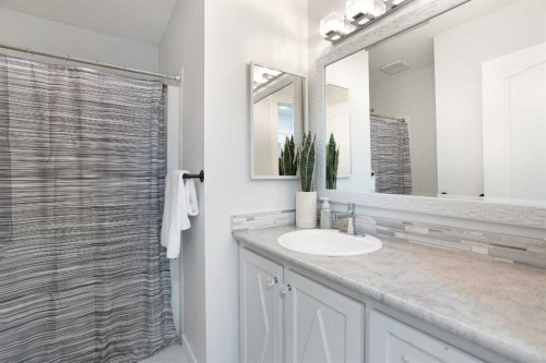 8 Thorndale Close Se, Airdrie, AB - Indoor Photo Showing Bathroom