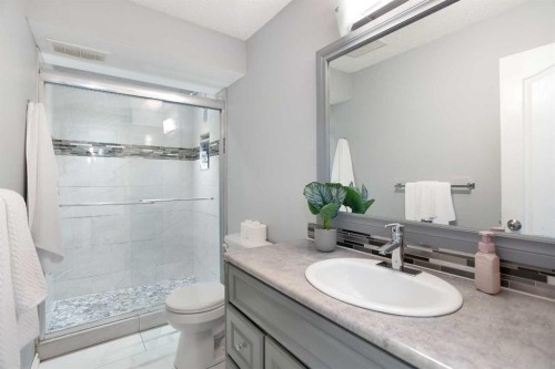 8 Thorndale Close Se, Airdrie, AB - Indoor Photo Showing Bathroom