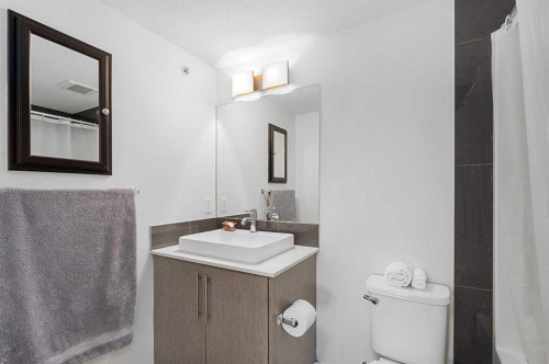 2408-302 Skyview Ranch Drive Ne, Calgary, AB - Indoor Photo Showing Bathroom