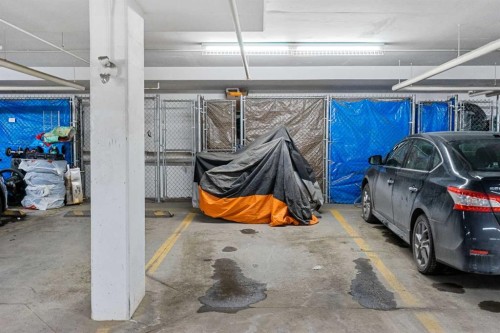 2408-302 Skyview Ranch Drive Ne, Calgary, AB - Indoor Photo Showing Garage