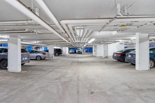 2408-302 Skyview Ranch Drive Ne, Calgary, AB - Indoor Photo Showing Garage