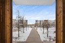 2408-302 Skyview Ranch Drive Ne, Calgary, AB  - Outdoor With View 
