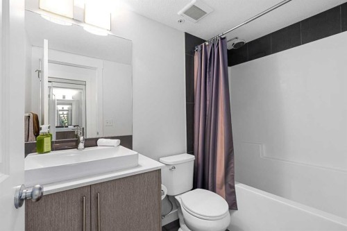 2408-302 Skyview Ranch Drive Ne, Calgary, AB - Indoor Photo Showing Bathroom