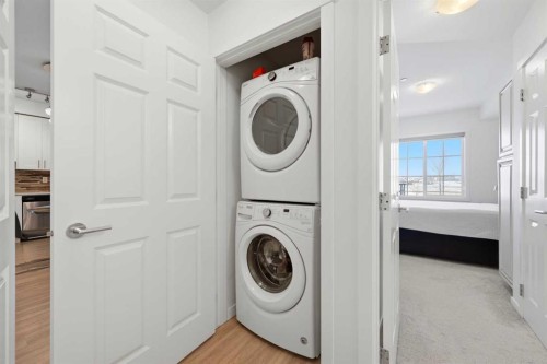 3108-99 Copperstone Park Se, Calgary, AB - Indoor Photo Showing Laundry Room