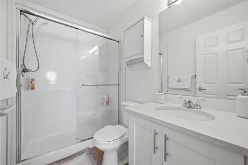 3108-99 Copperstone Park Se, Calgary, AB - Indoor Photo Showing Bathroom