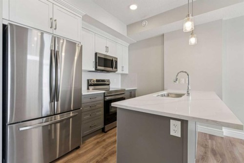 394 Seton Passage Se, Calgary, AB - Indoor Photo Showing Kitchen With Stainless Steel Kitchen With Upgraded Kitchen