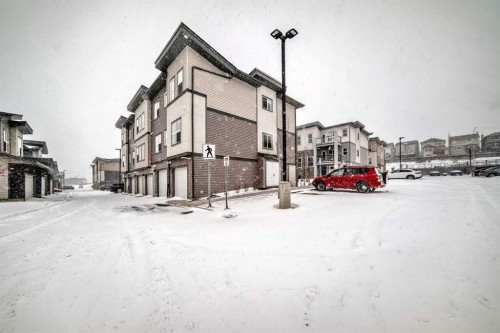 44 Spring Creek Common Sw, Calgary, AB - Outdoor