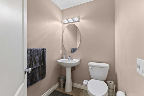 166 Evansmeade Circle North, Calgary, AB - Indoor Photo Showing Bathroom