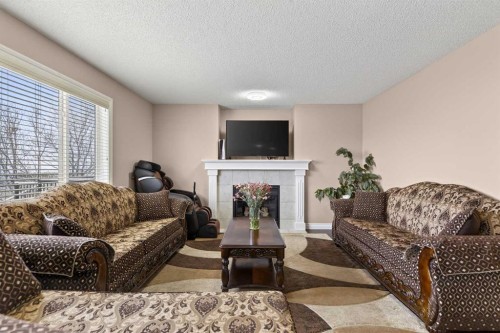 166 Evansmeade Circle North, Calgary, AB - Indoor Photo Showing Living Room With Fireplace
