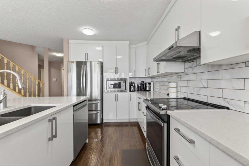 166 Evansmeade Circle North, Calgary, AB - Indoor Photo Showing Kitchen With Double Sink With Upgraded Kitchen
