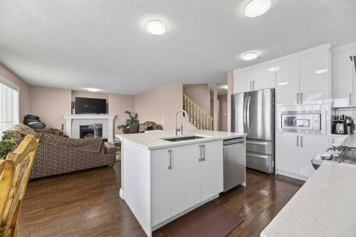 166 Evansmeade Circle North, Calgary, AB - Indoor Photo Showing Kitchen With Fireplace With Upgraded Kitchen