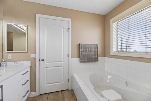 166 Evansmeade Circle North, Calgary, AB - Indoor Photo Showing Bathroom