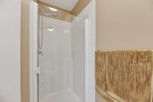 166 Evansmeade Circle North, Calgary, AB - Indoor Photo Showing Bathroom