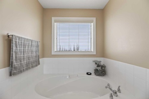 166 Evansmeade Circle North, Calgary, AB - Indoor Photo Showing Bathroom