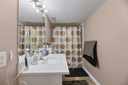 166 Evansmeade Circle North, Calgary, AB - Indoor Photo Showing Bathroom