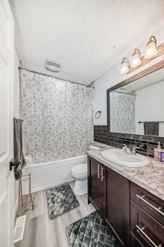 584 Whiteridge Way Ne, Calgary, AB - Indoor Photo Showing Bathroom
