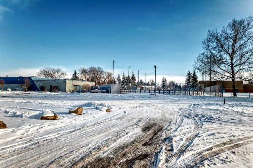 584 Whiteridge Way Ne, Calgary, AB - Outdoor