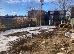 2310 17 Street SW Calgary, AB T2T 4M6