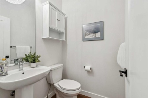 24 Willow Park Point, Cochrane, AB - Indoor Photo Showing Bathroom