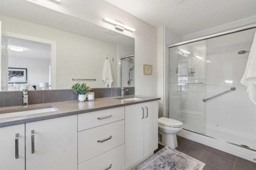 24 Willow Park Point, Cochrane, AB - Indoor Photo Showing Bathroom