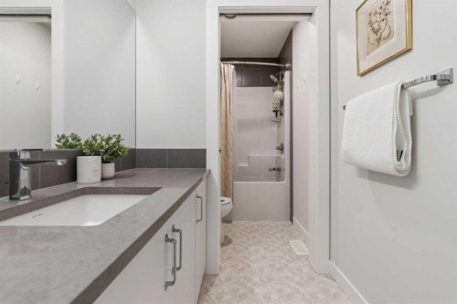 24 Willow Park Point, Cochrane, AB - Indoor Photo Showing Bathroom