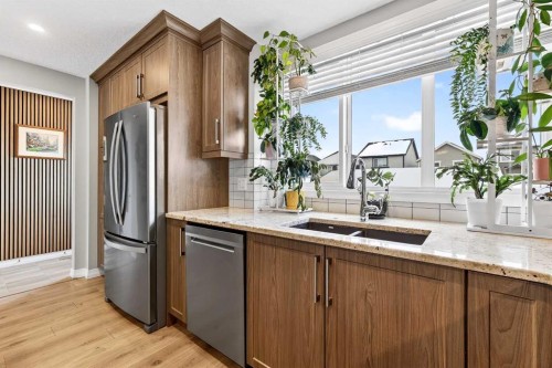 287 Masters Row Se, Calgary, AB - Indoor Photo Showing Kitchen With Double Sink