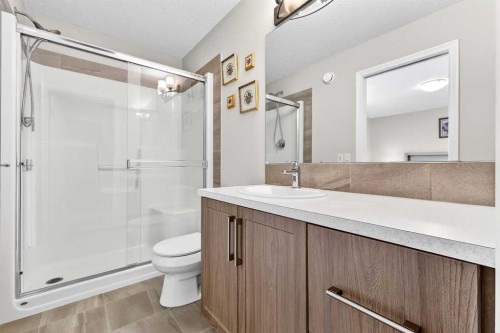287 Masters Row Se, Calgary, AB - Indoor Photo Showing Bathroom