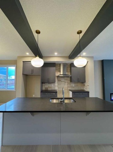 275 Waterford Heights, Chestermere, AB - Indoor Photo Showing Kitchen With Double Sink