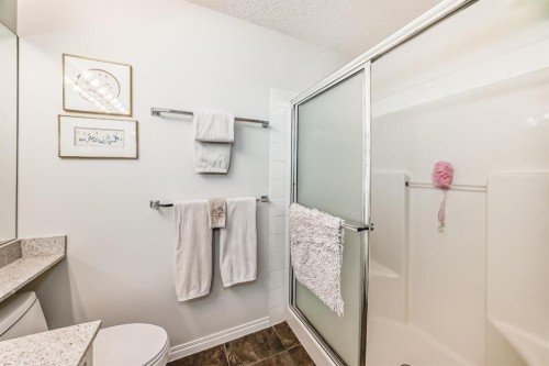 157 Hawkstone Manor Nw, Calgary, AB - Indoor Photo Showing Bathroom