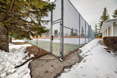 157 Hawkstone Manor Nw, Calgary, AB - Outdoor