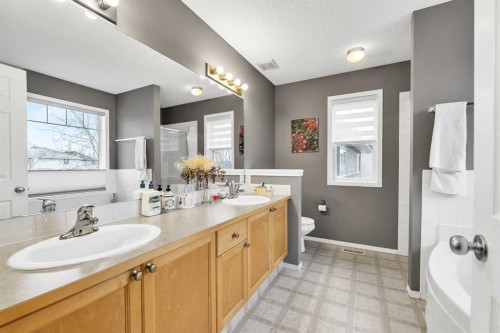 86 Evergreen Common Sw, Calgary, AB - Indoor Photo Showing Bathroom
