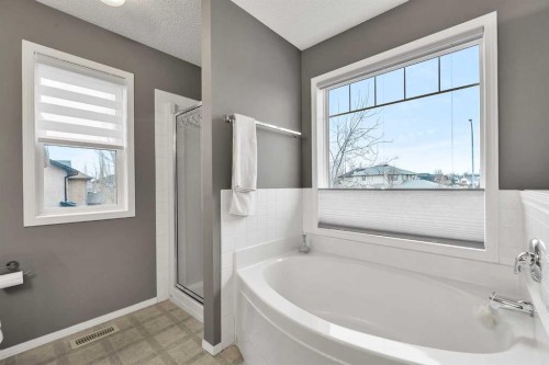 86 Evergreen Common Sw, Calgary, AB - Indoor Photo Showing Bathroom