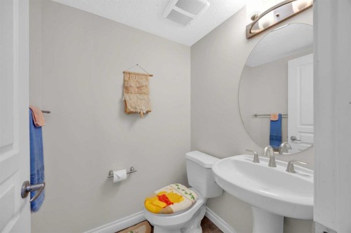 37 Sage Meadows Terrace Nw, Calgary, AB - Indoor Photo Showing Bathroom