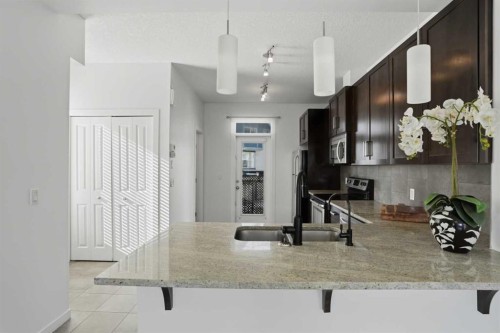 205 New Brighton Row Se, Calgary, AB - Indoor Photo Showing Kitchen With Upgraded Kitchen