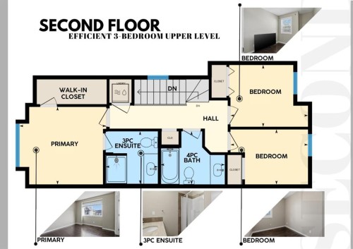 205 New Brighton Row Se, Calgary, AB - Other