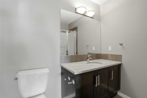 205 New Brighton Row Se, Calgary, AB - Indoor Photo Showing Bathroom