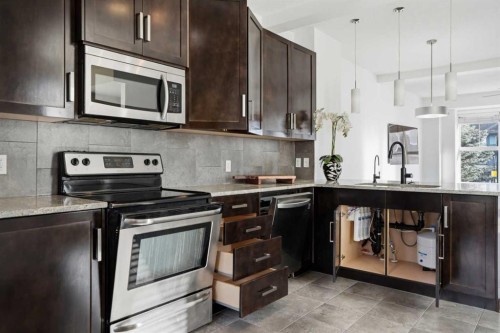 205 New Brighton Row Se, Calgary, AB - Indoor Photo Showing Kitchen With Upgraded Kitchen