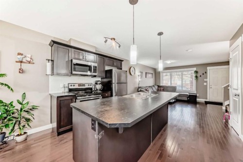 176 Cascades Passage, Chestermere, AB - Indoor Photo Showing Kitchen With Stainless Steel Kitchen With Upgraded Kitchen