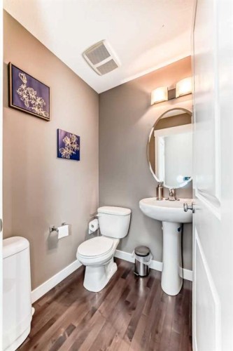176 Cascades Passage, Chestermere, AB - Indoor Photo Showing Bathroom