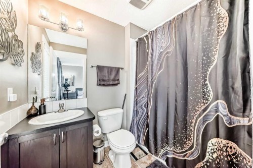 176 Cascades Passage, Chestermere, AB - Indoor Photo Showing Bathroom