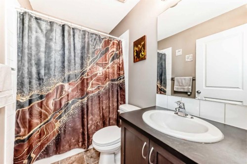 176 Cascades Passage, Chestermere, AB - Indoor Photo Showing Bathroom