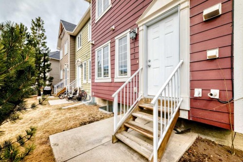 176 Cascades Passage, Chestermere, AB - Outdoor With Exterior