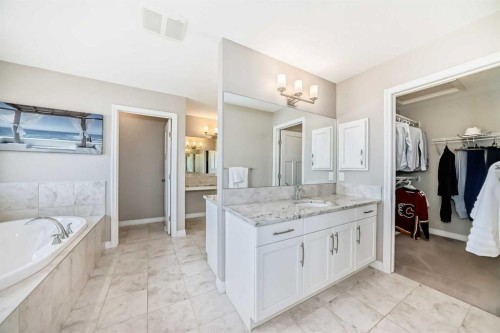 8 Masters Court Se, Calgary, AB - Indoor Photo Showing Bathroom