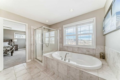 8 Masters Court Se, Calgary, AB - Indoor Photo Showing Bathroom