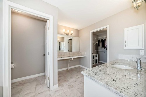 8 Masters Court Se, Calgary, AB - Indoor Photo Showing Bathroom