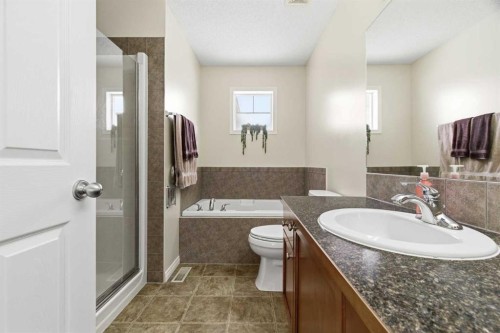 107 Cimarron Grove Circle, Okotoks, AB - Indoor Photo Showing Bathroom